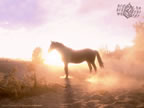Cliquez ici pour visualiser la photo...