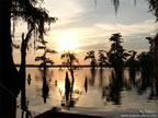Cliquez ici pour visualiser la photo...