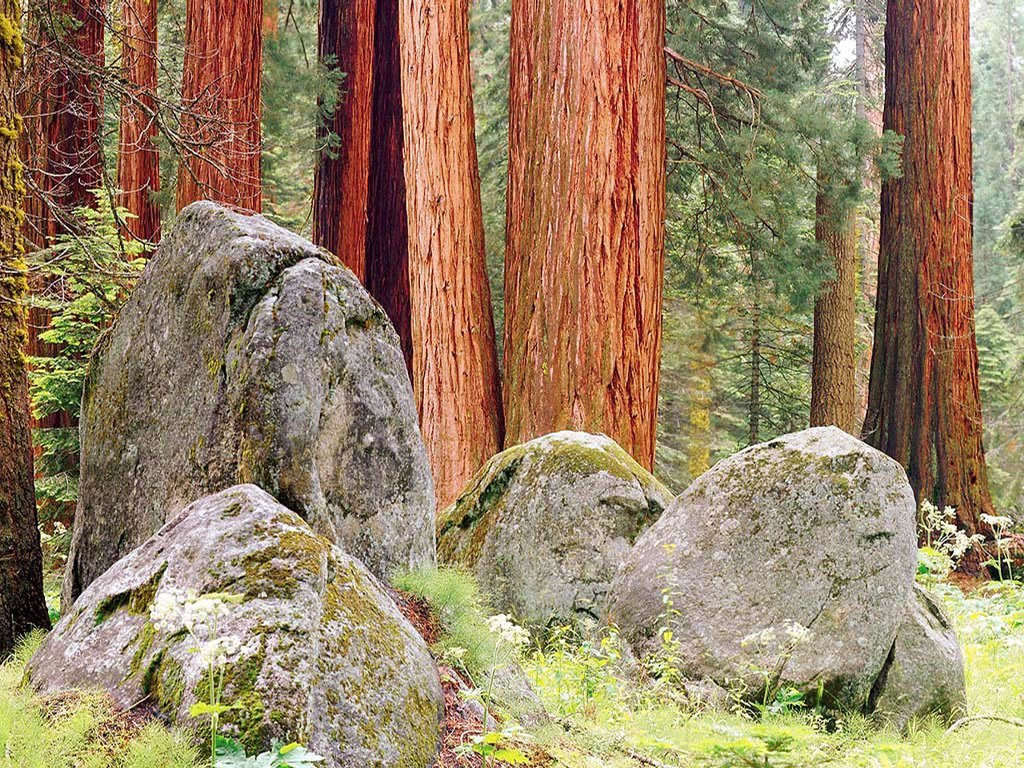 Cliquez ici pour voir la photo à la taille réelle...