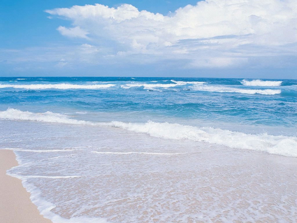 Cliquez ici pour voir la photo à la taille réelle...