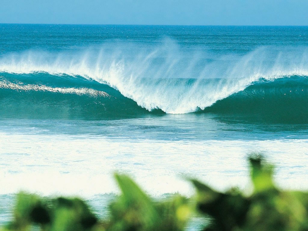 Cliquez ici pour voir la photo à la taille réelle...