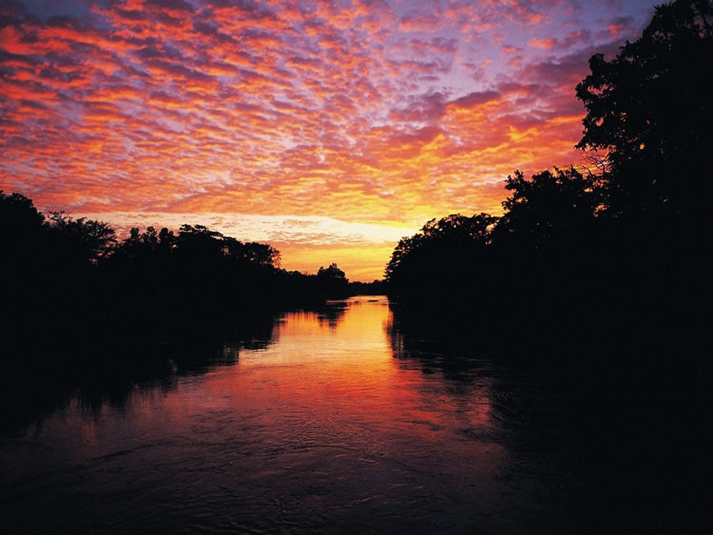 Cliquez ici pour voir la photo à la taille réelle...