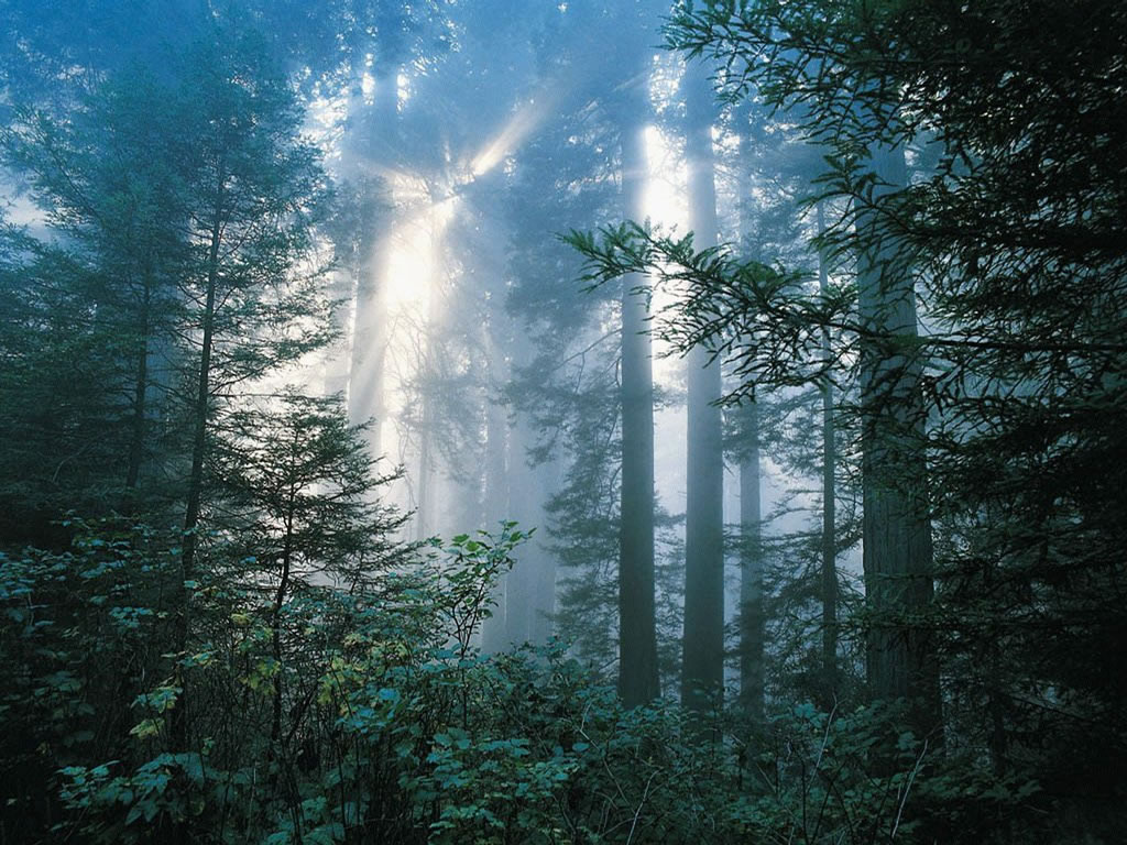 Cliquez ici pour voir la photo à la taille réelle...