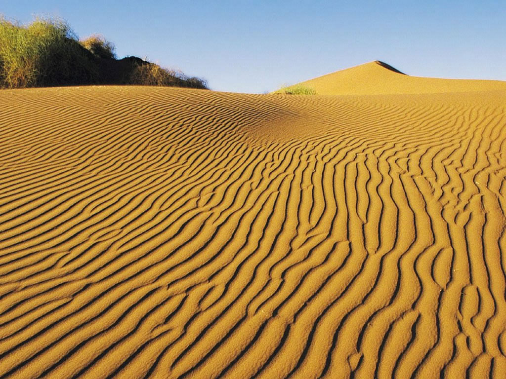 Cliquez ici pour voir la photo à la taille réelle...