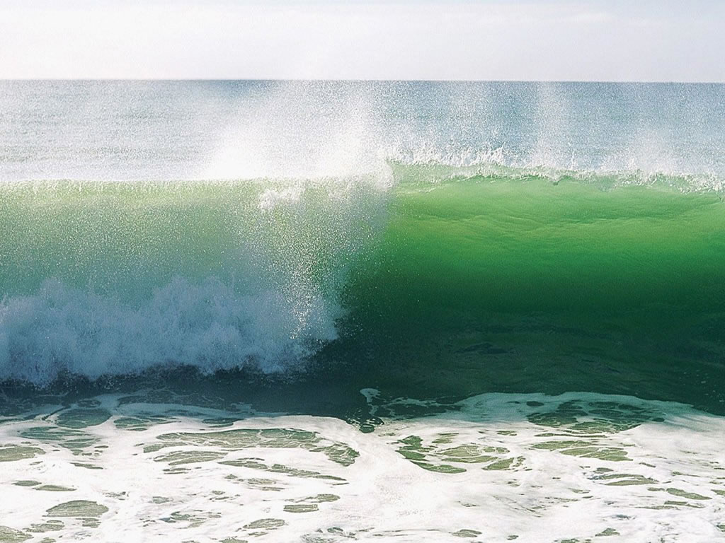 Cliquez ici pour voir la photo à la taille réelle...