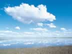 Cliquez ici pour visualiser la photo...